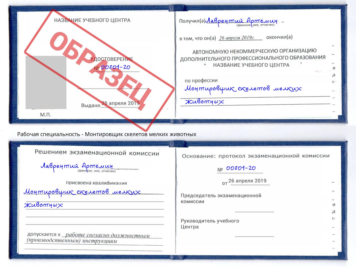 Монтировщик скелетов мелких животных Фрязино