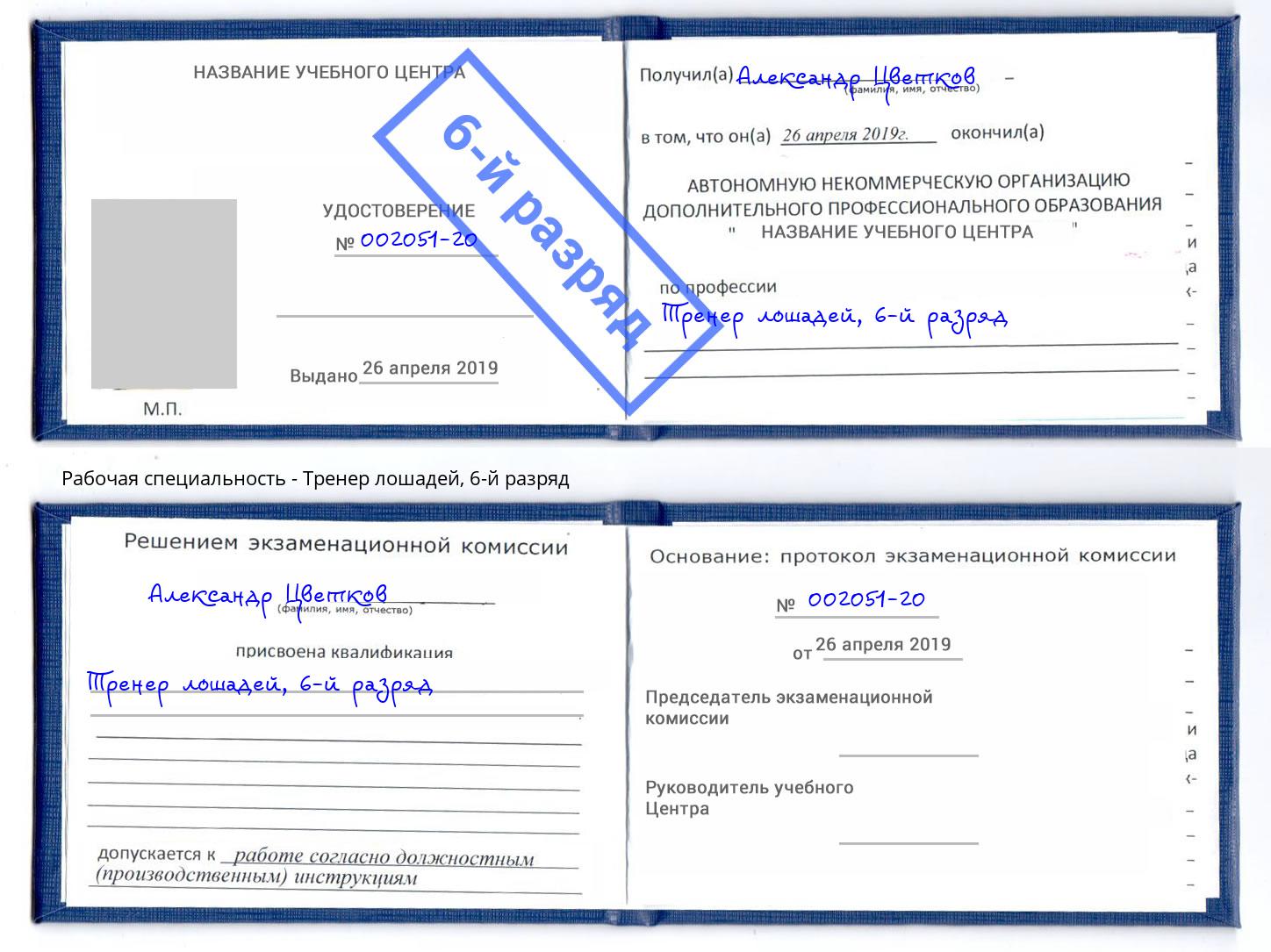 корочка 6-й разряд Тренер лошадей Фрязино