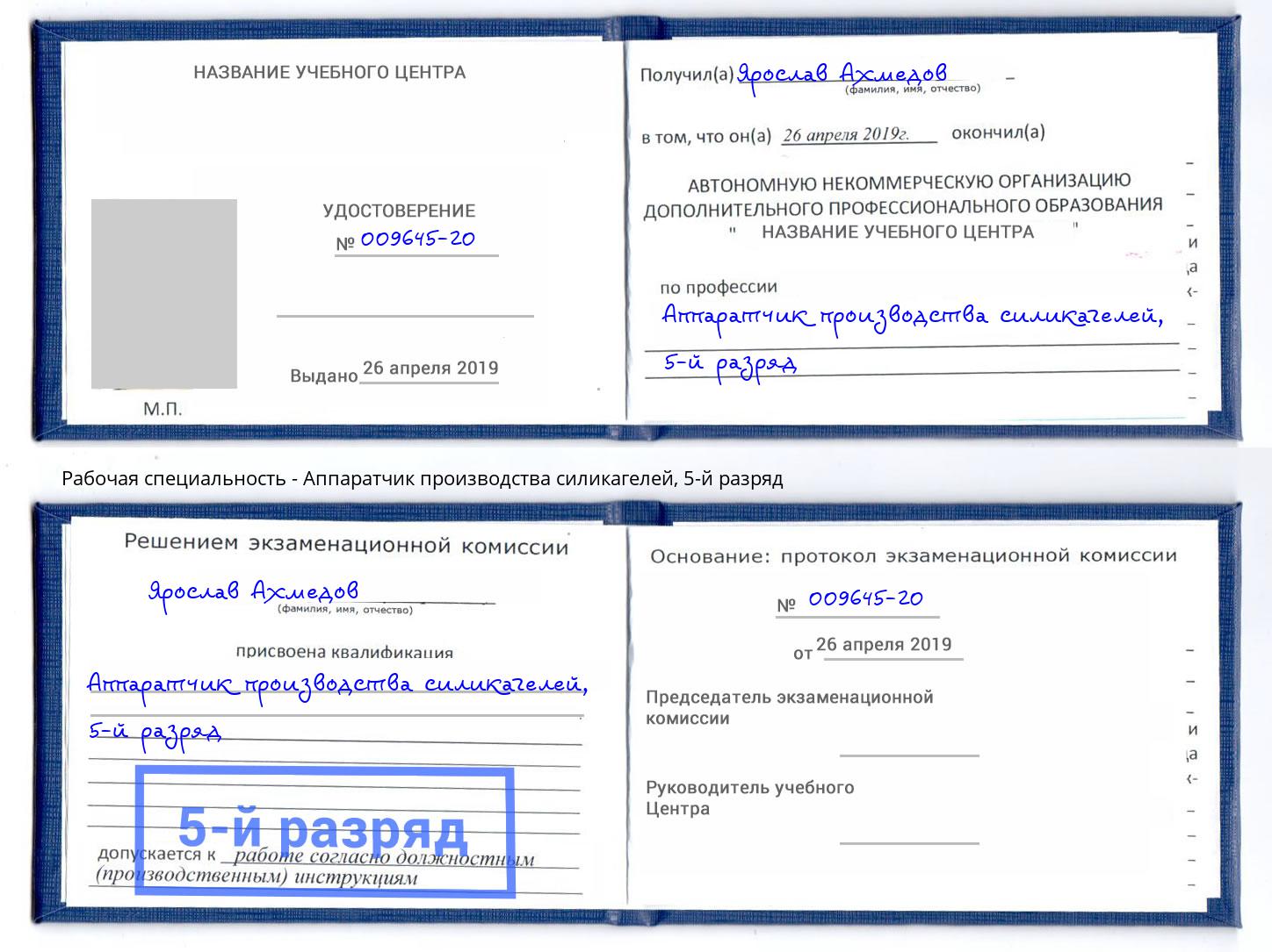 корочка 5-й разряд Аппаратчик производства силикагелей Фрязино