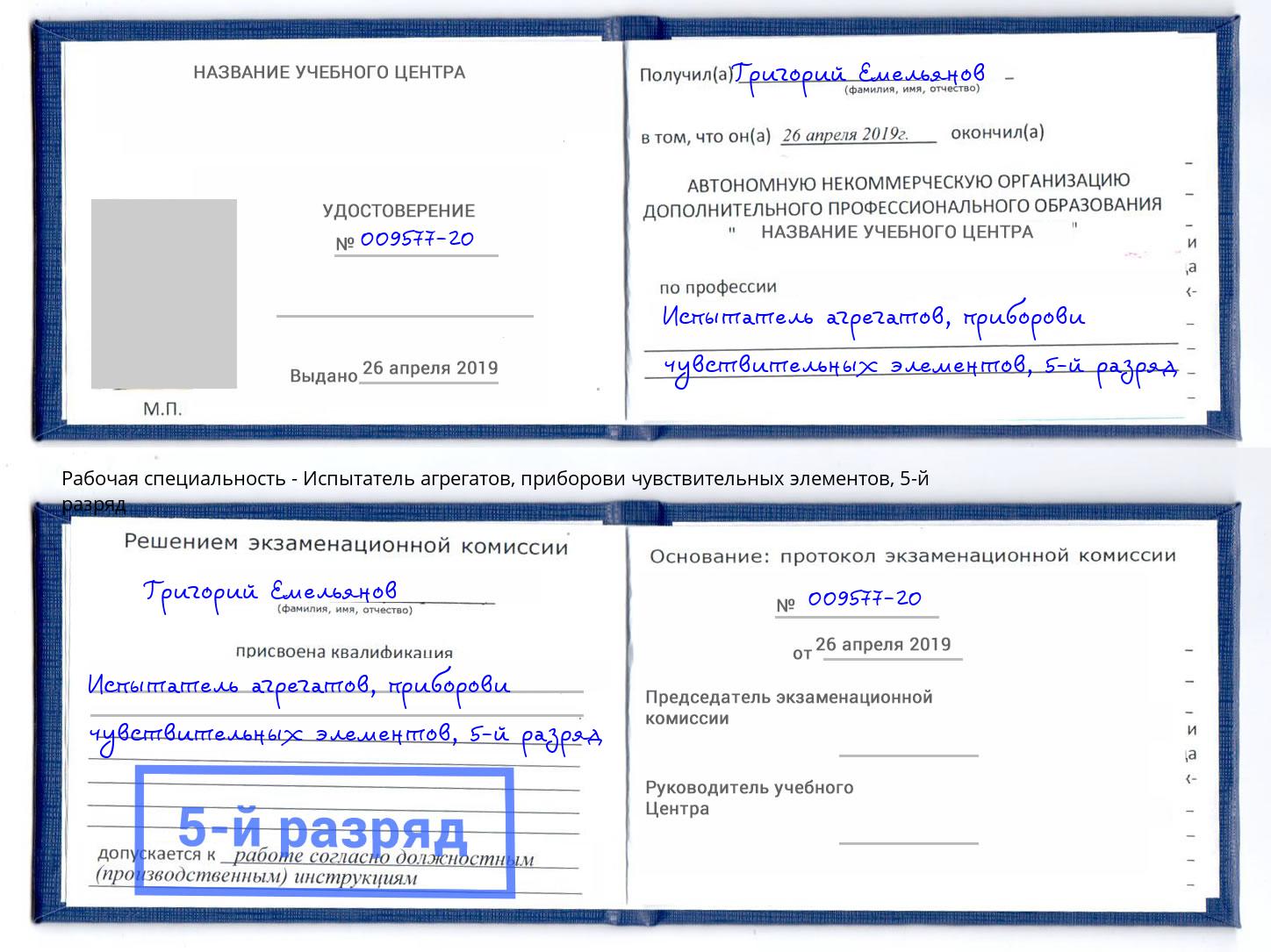 корочка 5-й разряд Испытатель агрегатов, приборови чувствительных элементов Фрязино