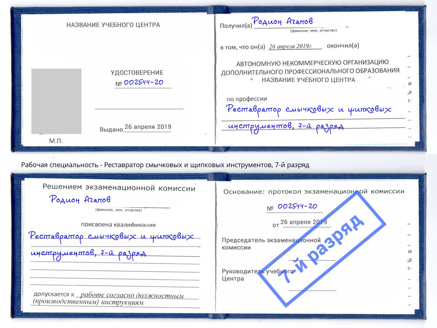 корочка 7-й разряд Реставратор смычковых и щипковых инструментов Фрязино