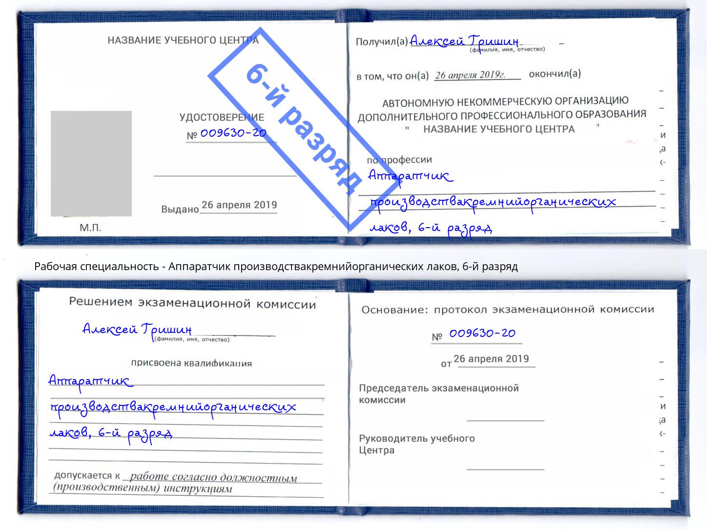 корочка 6-й разряд Аппаратчик производствакремнийорганических лаков Фрязино